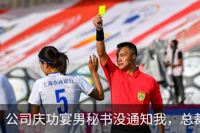 公司庆功宴男秘书没通知我，总裁妻子来电奖金双倍别气