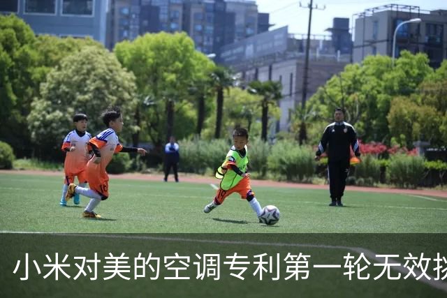 小米对美的空调专利第一轮无效挑战结束